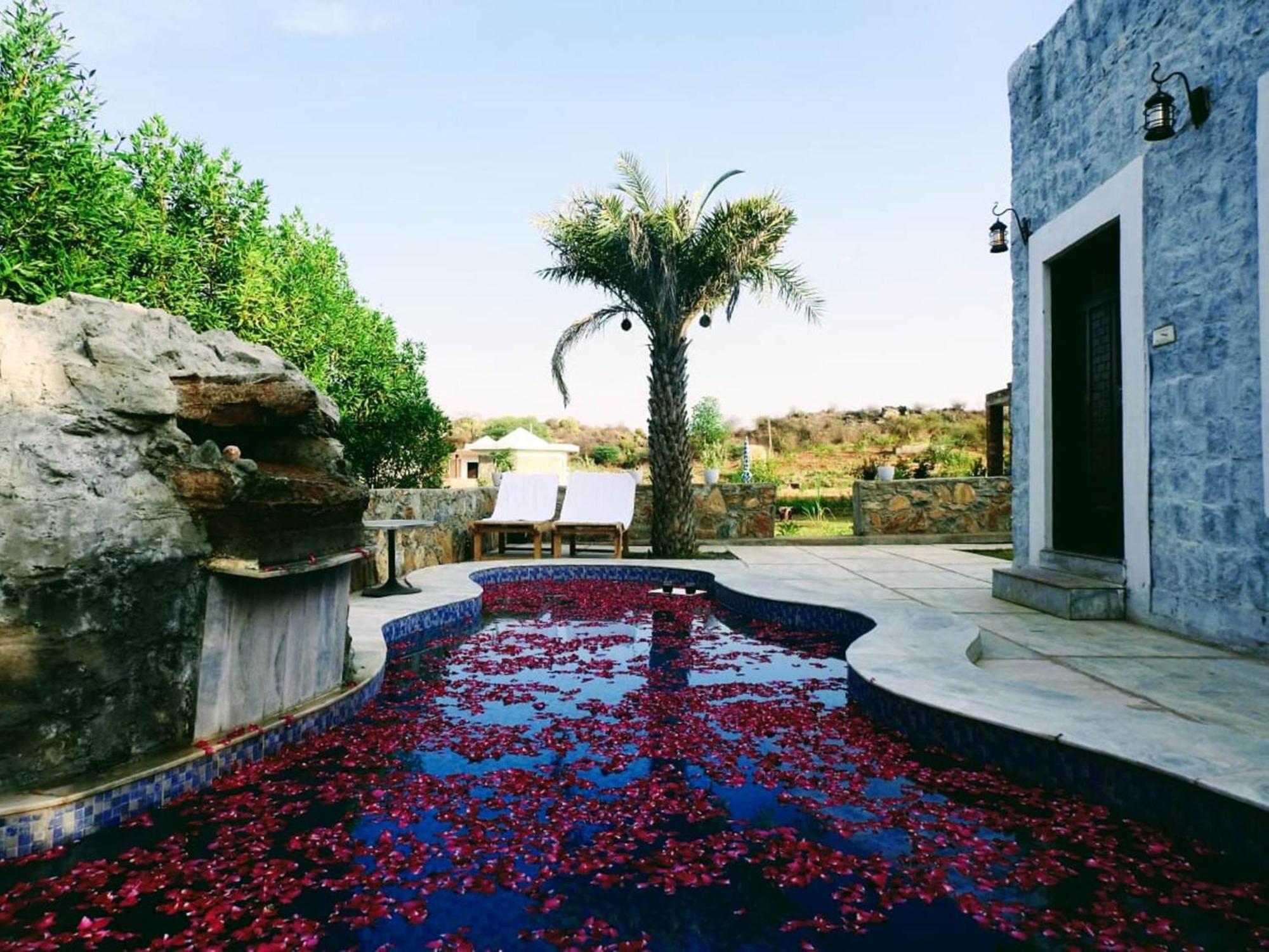 مبيت وإفطار Nana Jawai Wildlife Safari Camp المظهر الخارجي الصورة