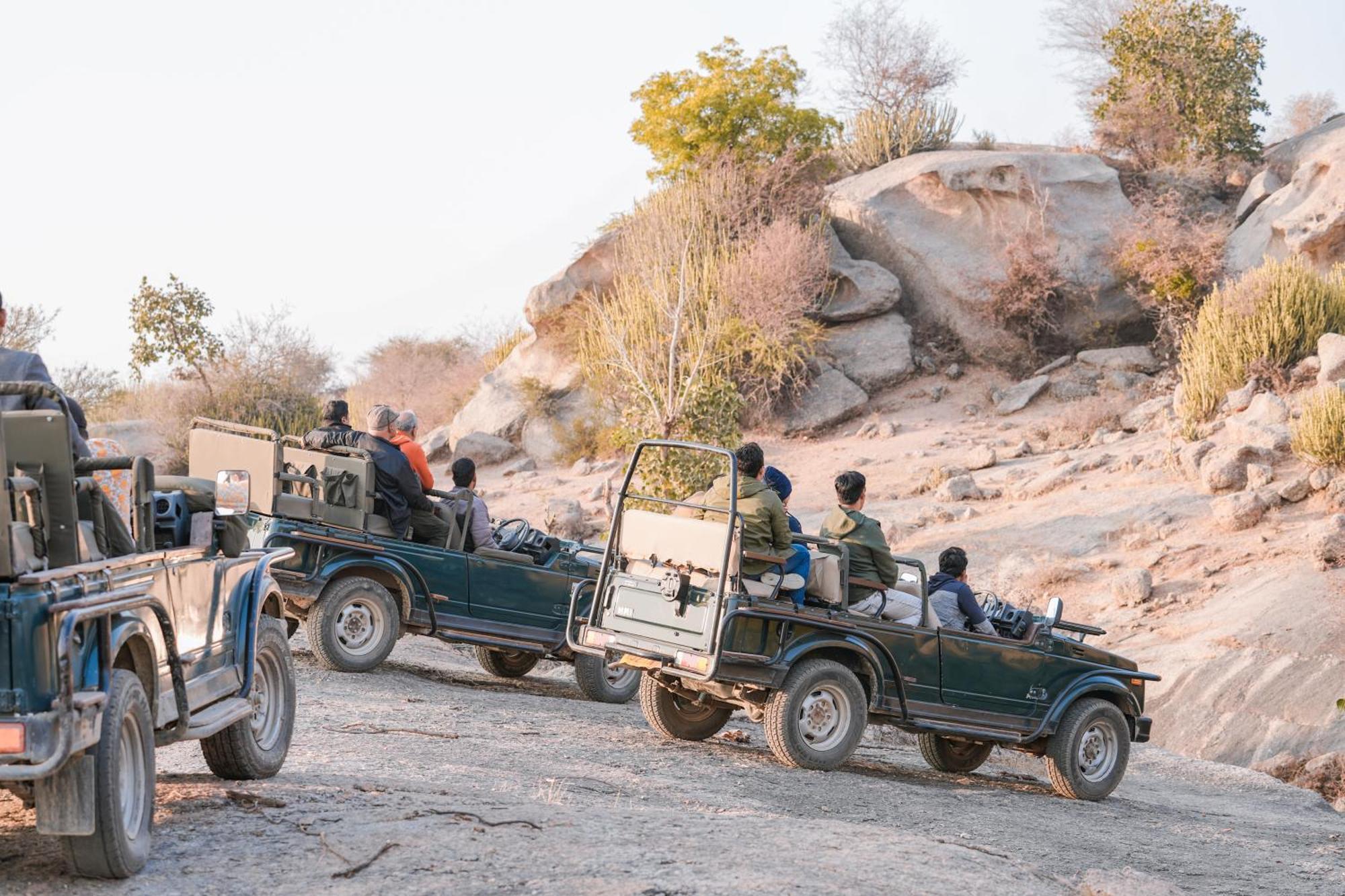مبيت وإفطار Nana Jawai Wildlife Safari Camp المظهر الخارجي الصورة